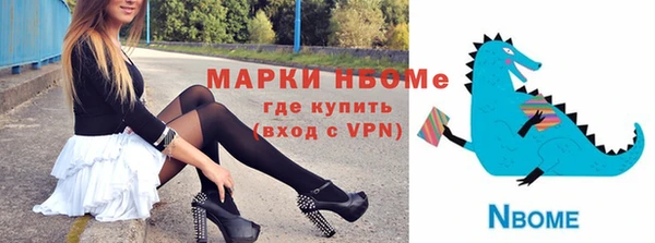 индика Аркадак