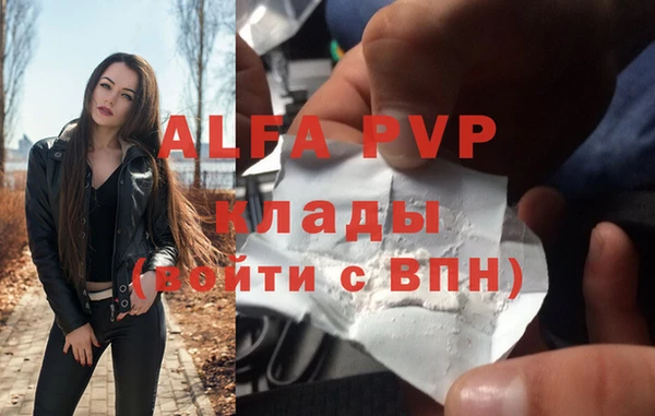 индика Аркадак