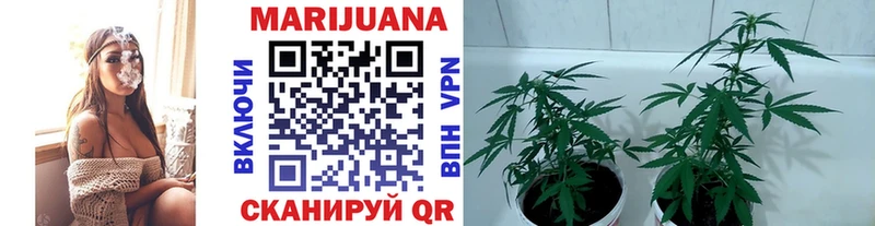 blacksprut маркетплейс  Маркс  Бошки марихуана MAZAR 
